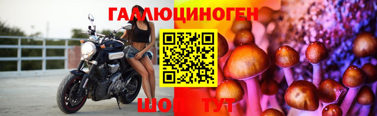Галлюциногенные грибы MAGIC MUSHROOMS Лесной