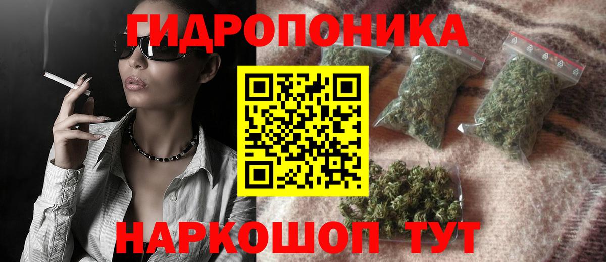 Бошки Шишки планчик Лесной